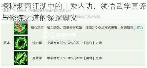 探秘烟雨江湖中的上乘内功，领悟武学真谛与修炼之道的深邃奥义