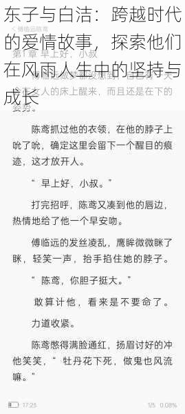 东子与白洁：跨越时代的爱情故事，探索他们在风雨人生中的坚持与成长