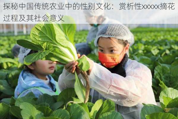 探秘中国传统农业中的性别文化：赏析性xxxxx摘花过程及其社会意义