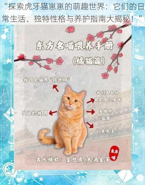 “探索虎牙猫崽崽的萌趣世界：它们的日常生活、独特性格与养护指南大揭秘！”