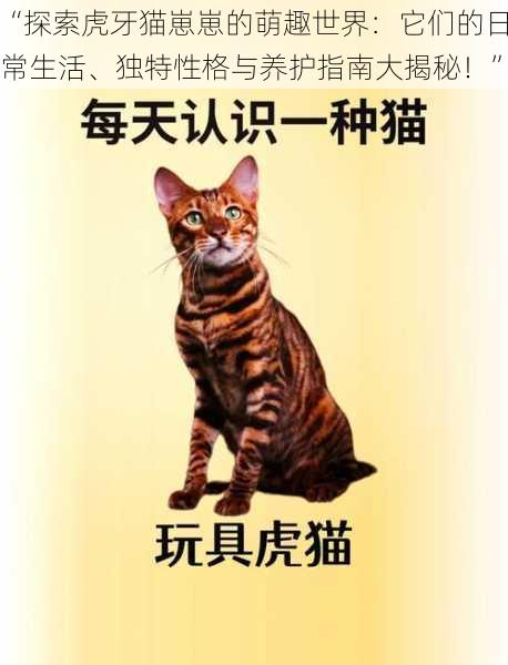 “探索虎牙猫崽崽的萌趣世界：它们的日常生活、独特性格与养护指南大揭秘！”