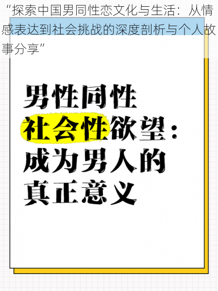 “探索中国男同性恋文化与生活：从情感表达到社会挑战的深度剖析与个人故事分享”