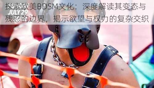 探索欧美BDSM文化：深度解读其变态与残忍的边界，揭示欲望与权力的复杂交织