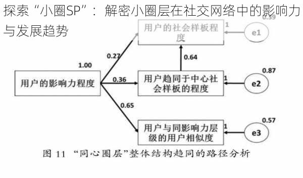 探索“小圈SP”：解密小圈层在社交网络中的影响力与发展趋势