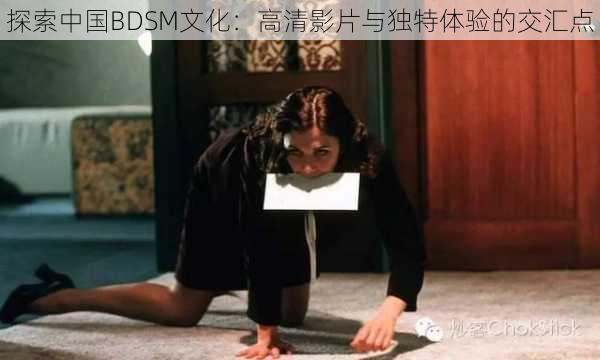 探索中国BDSM文化：高清影片与独特体验的交汇点