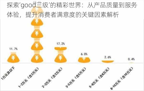 探索‘good三级’的精彩世界：从产品质量到服务体验，提升消费者满意度的关键因素解析