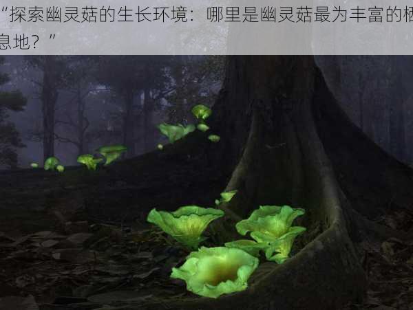 “探索幽灵菇的生长环境：哪里是幽灵菇最为丰富的栖息地？”