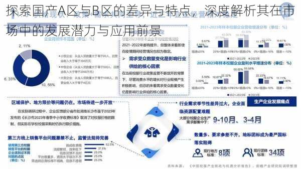 探索国产A区与B区的差异与特点，深度解析其在市场中的发展潜力与应用前景