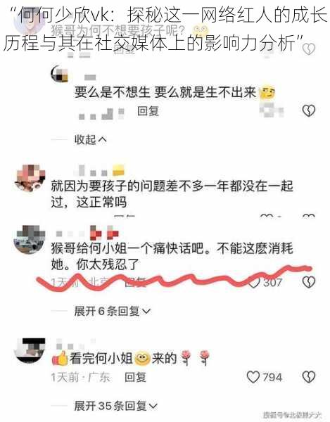 “何何少欣vk：探秘这一网络红人的成长历程与其在社交媒体上的影响力分析”