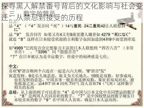 探寻黑人解禁番号背后的文化影响与社会变迁：从禁忌到接受的历程