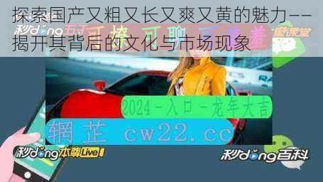 探索国产又粗又长又爽又黄的魅力——揭开其背后的文化与市场现象