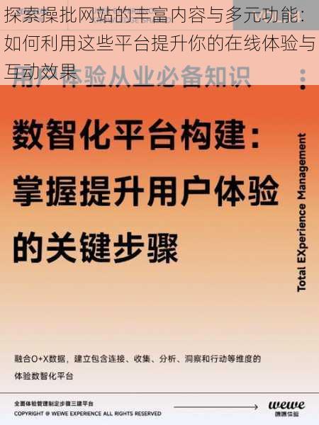 探索操批网站的丰富内容与多元功能：如何利用这些平台提升你的在线体验与互动效果