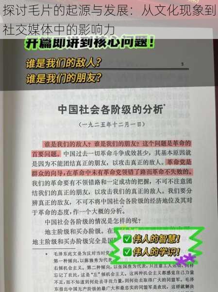 探讨毛片的起源与发展：从文化现象到社交媒体中的影响力