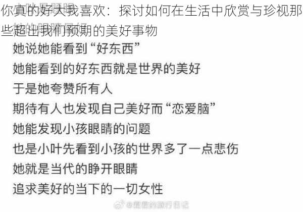 你真的好大我喜欢：探讨如何在生活中欣赏与珍视那些超出我们预期的美好事物