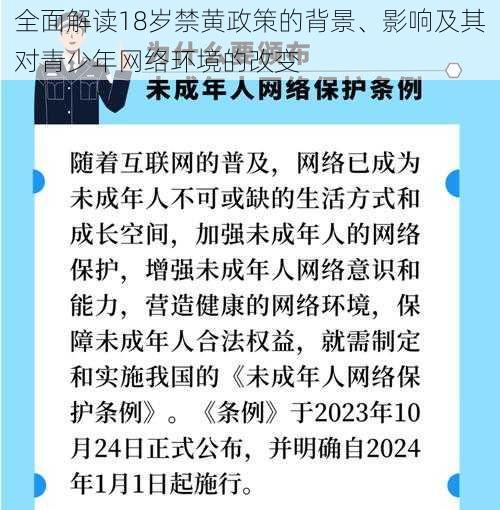 全面解读18岁禁黄政策的背景、影响及其对青少年网络环境的改变