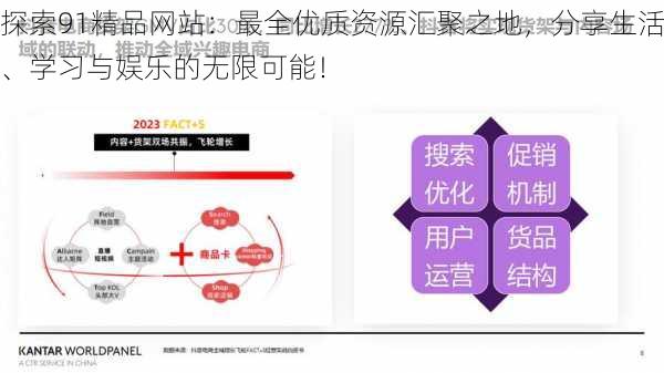 探索91精品网站：最全优质资源汇聚之地，分享生活、学习与娱乐的无限可能！