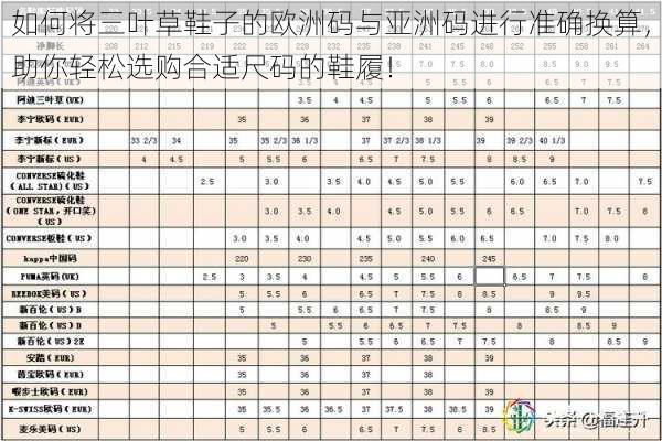 如何将三叶草鞋子的欧洲码与亚洲码进行准确换算，助你轻松选购合适尺码的鞋履！