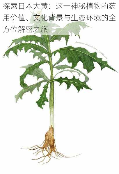 探索日本大黄：这一神秘植物的药用价值、文化背景与生态环境的全方位解密之旅