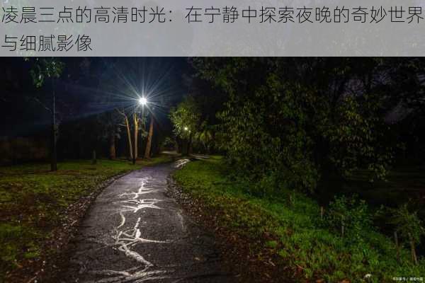 凌晨三点的高清时光：在宁静中探索夜晚的奇妙世界与细腻影像