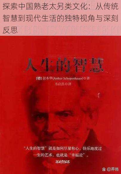 探索中国熟老太另类文化：从传统智慧到现代生活的独特视角与深刻反思