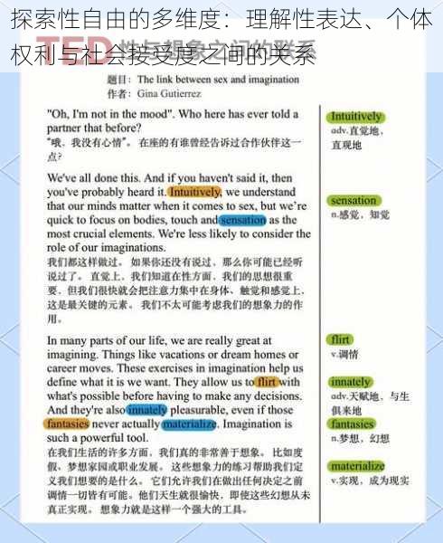 探索性自由的多维度：理解性表达、个体权利与社会接受度之间的关系