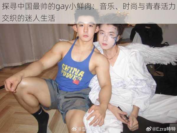 探寻中国最帅的gay小鲜肉：音乐、时尚与青春活力交织的迷人生活