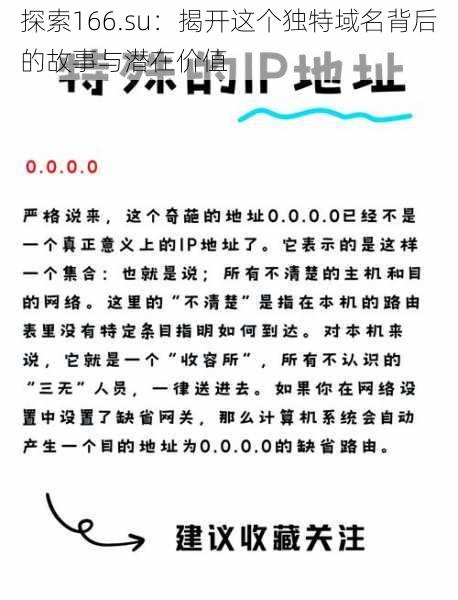 探索166.su：揭开这个独特域名背后的故事与潜在价值