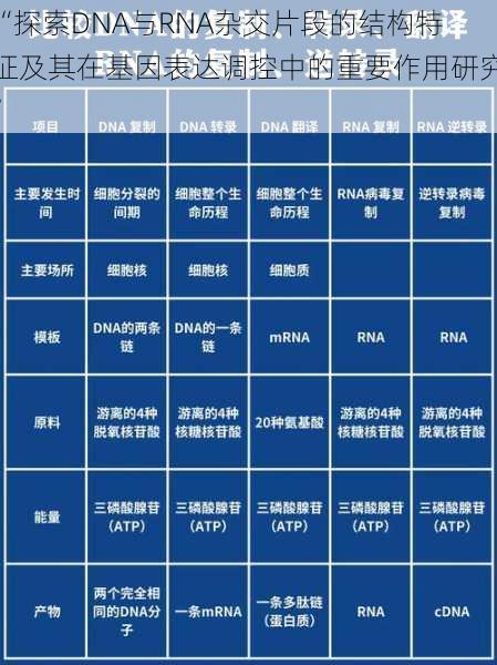 “探索DNA与RNA杂交片段的结构特征及其在基因表达调控中的重要作用研究”