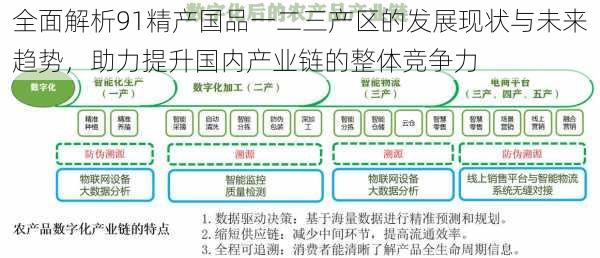 全面解析91精产国品一二三产区的发展现状与未来趋势，助力提升国内产业链的整体竞争力