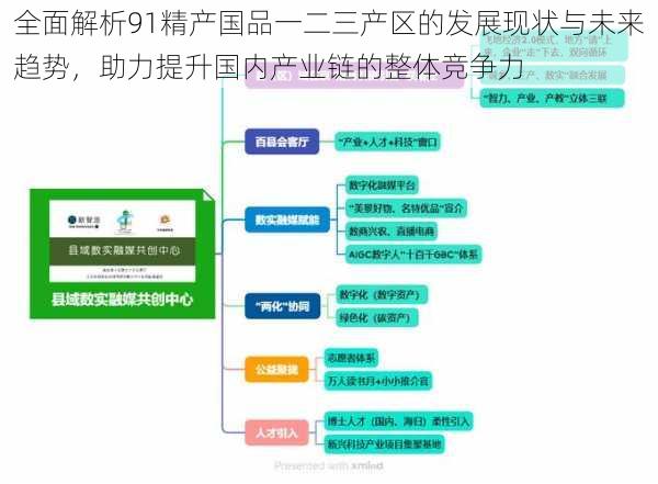 全面解析91精产国品一二三产区的发展现状与未来趋势，助力提升国内产业链的整体竞争力