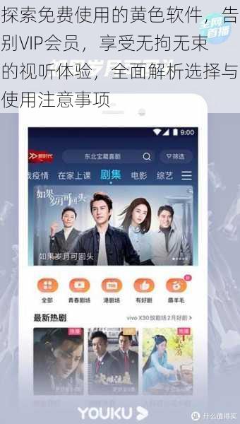 探索免费使用的黄色软件，告别VIP会员，享受无拘无束的视听体验，全面解析选择与使用注意事项