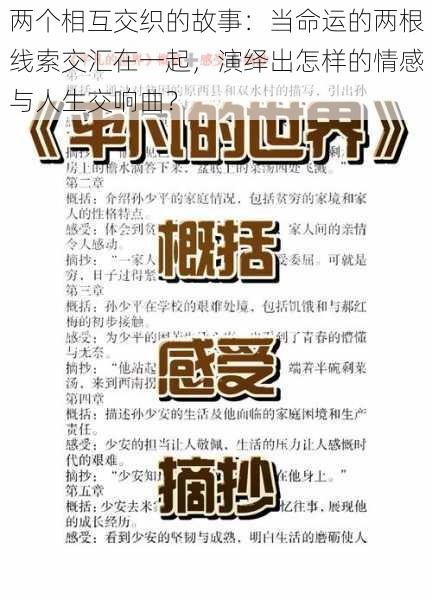 两个相互交织的故事：当命运的两根线索交汇在一起，演绎出怎样的情感与人生交响曲？