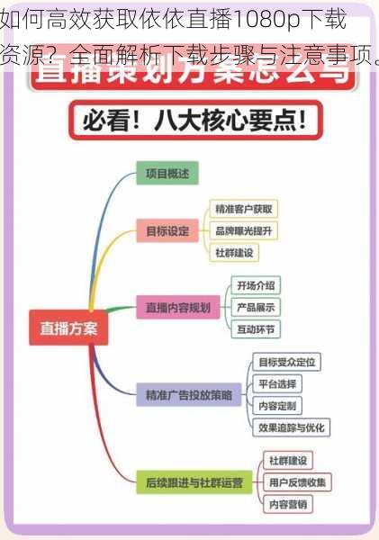 如何高效获取依依直播1080p下载资源？全面解析下载步骤与注意事项。