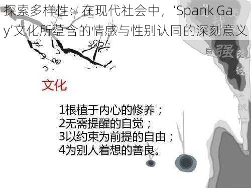 探索多样性：在现代社会中，‘Spank Gay’文化所蕴含的情感与性别认同的深刻意义