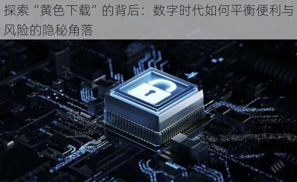 探索“黄色下载”的背后：数字时代如何平衡便利与风险的隐秘角落