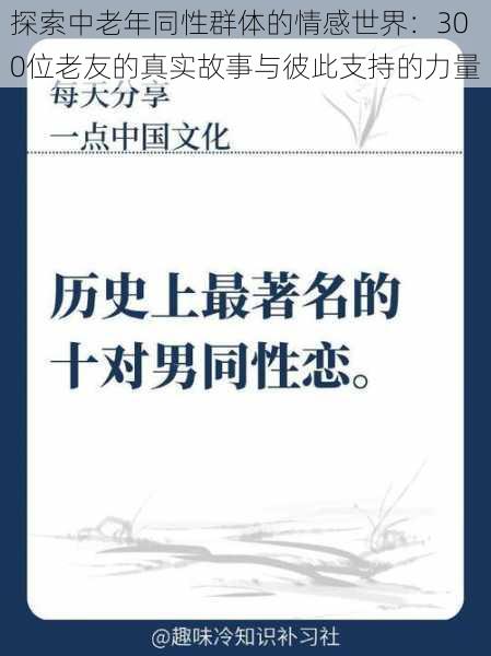 探索中老年同性群体的情感世界：300位老友的真实故事与彼此支持的力量