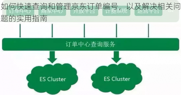 如何快速查询和管理京东订单编号，以及解决相关问题的实用指南