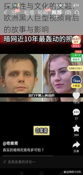 探索性与文化的交融：欧洲黑人巨型视频背后的故事与影响