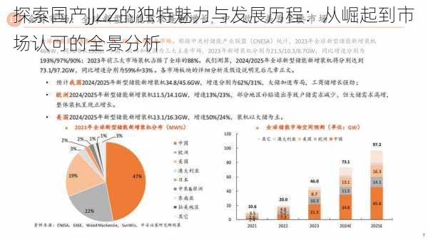 探索国产JJZZ的独特魅力与发展历程：从崛起到市场认可的全景分析