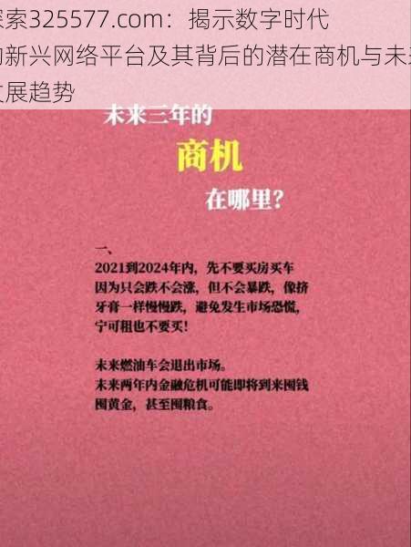 探索325577.com：揭示数字时代的新兴网络平台及其背后的潜在商机与未来发展趋势