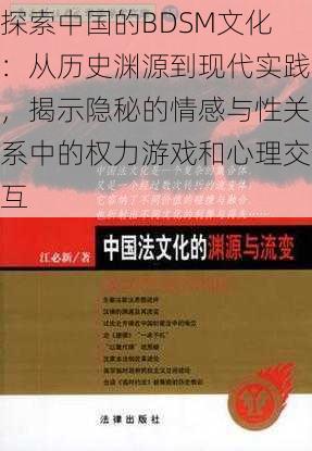 探索中国的BDSM文化：从历史渊源到现代实践，揭示隐秘的情感与性关系中的权力游戏和心理交互