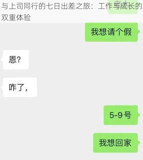 与上司同行的七日出差之旅：工作与成长的双重体验