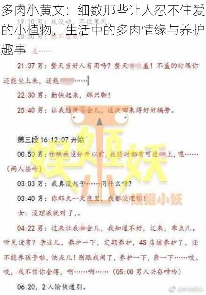 多肉小黄文：细数那些让人忍不住爱的小植物，生活中的多肉情缘与养护趣事