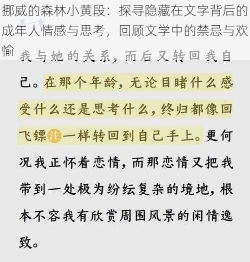 挪威的森林小黄段：探寻隐藏在文字背后的成年人情感与思考，回顾文学中的禁忌与欢愉