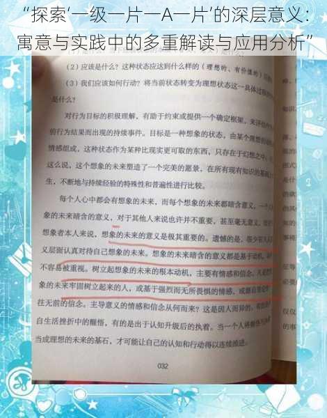 “探索‘一级一片一A一片’的深层意义：寓意与实践中的多重解读与应用分析”