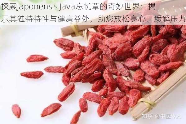 探索Japonensis Java忘忧草的奇妙世界：揭示其独特特性与健康益处，助您放松身心、缓解压力