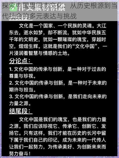 探索中国男同志文化：从历史根源到当代社会的多元表达与挑战