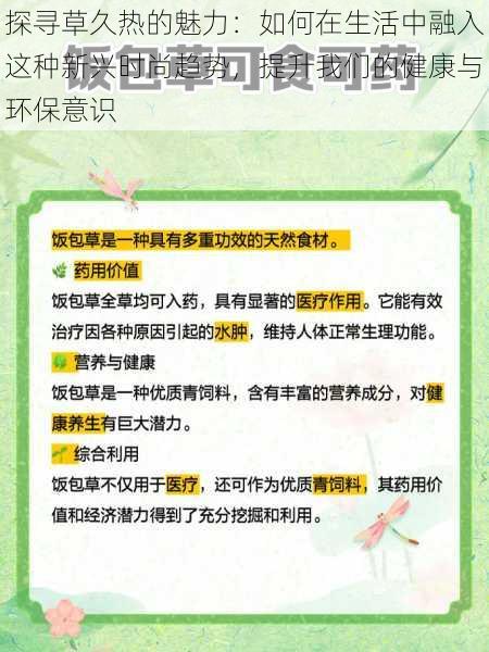 探寻草久热的魅力：如何在生活中融入这种新兴时尚趋势，提升我们的健康与环保意识