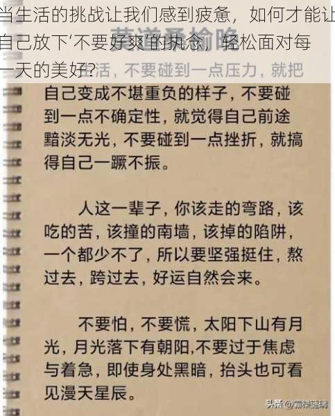 当生活的挑战让我们感到疲惫，如何才能让自己放下‘不要好爽’的执念，轻松面对每一天的美好？