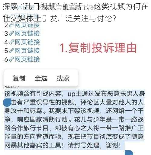 探索“乱日视频”的背后：这类视频为何在社交媒体上引发广泛关注与讨论？